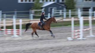 Hoppis RJL 25.5.2017