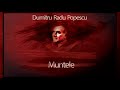 Muntele - Dumitru Radu Popescu