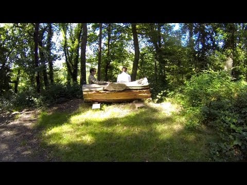FPV Quadcopter Forestry Run