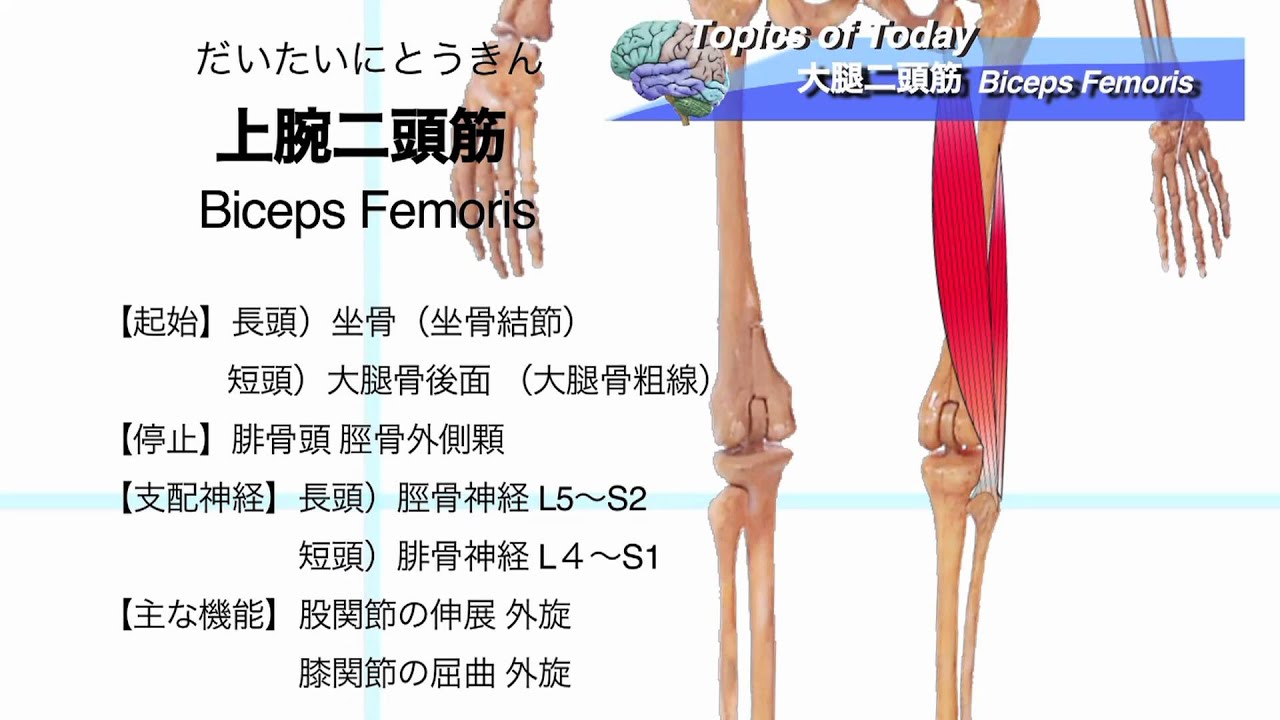 中央法規 介護福祉士アプリ