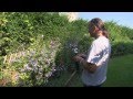 Jardins et Gens du Nord : le jardin d'Astrées Jardins et Gens du Nord : le jardin d'Astrées