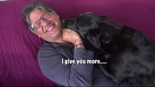 Black Labrador reacts to his dad making a noise - cute