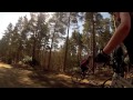 Project Sunny Day - MTB