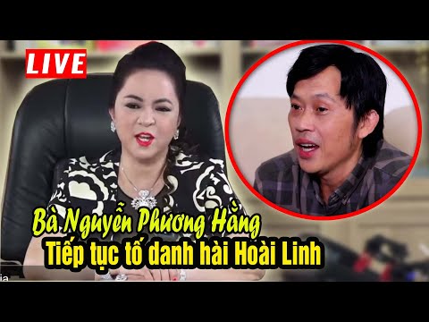 Bà Nguyễn Phương Hằng tiếp tục tố Danh hài Hoài Linh và nhiều nữa....