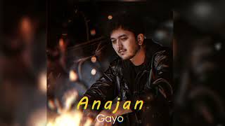 Gayo - Anajan ( Премьера Песни 2024 )