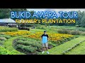 Flower's Plantation || Bukid Amara Tour 2024 || Lucban Quezon Province || Plantita Ideas