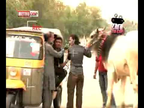 Zara Hut Kay cow in rakshaw