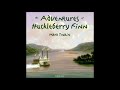 Adventures of Huckleberry Finn by Mark Twain (Free Audio Book for Children, in English Language)