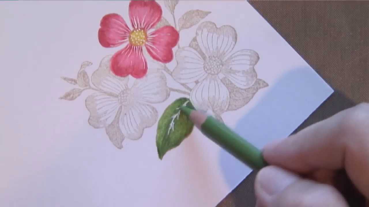 Featured image of post Easy Flower Drawings In Pencil With Colour / Twelve easy flower doodles you need to know.