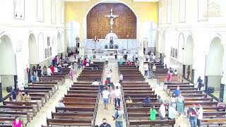 Santa Missa - Basílica Matriz de Campinas - 10h - 24/01/2021