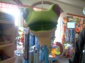 7 all seeing red eyed frog