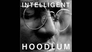 Watch Intelligent Hoodlum Party Animal video