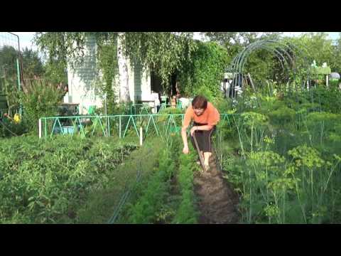 Компостная куча органическое удобрение своими руками видео Компостная куча органическое удобрение своими руками видео