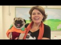 "Howl-O-Ween" Pug Stock