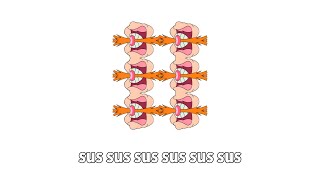 The Various Types Of Pingas