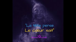 Ne vous laissez pas faire