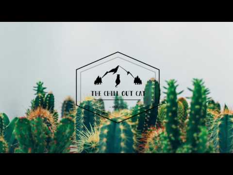 The Coast Video