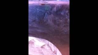 Watch Middle Earth Reflection video