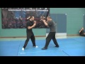 Nick Martin Sifu Wing Chun Teaching