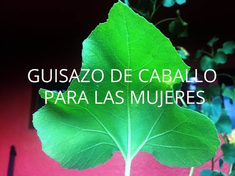 Guisazo de caballo y Chancapiedra para las mujeres Testimonio Real