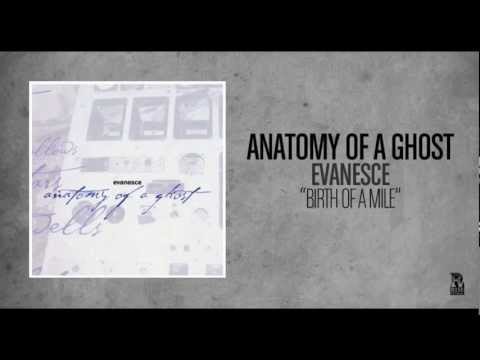 Birth Of A Mile Video