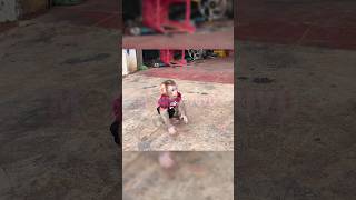 Yuyu Monkey Goes To Find Mother