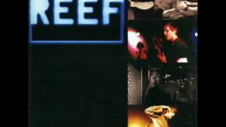 Watch Reef Lately Stomping video