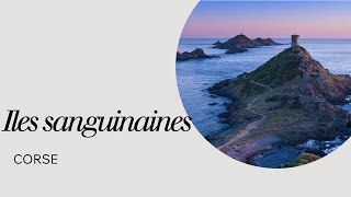 Corse Épisode 1 Iles Sanguinaires En 4K 30 Imgsec