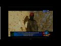 Fakta Unik Burung Dalam Kisah Nabi Sulaiman images Fakta Unik Burung Dalam Kisah Nabi Sulaiman