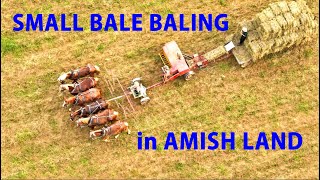Amish Farmers Small Bale Baling In Lancaster Countys Amish Land With Horses