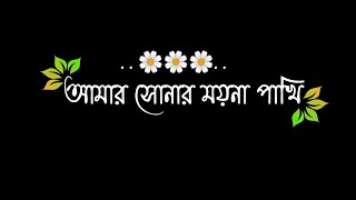 Amar Sonar Moina Pakhi\\\\Black Screen Status /Green Screen Status/Bangla Sad st