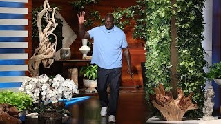 Shaq's Babysitting Gig Led to His Google Riches Shaq's Babysitting Gig Led to His Google Riches