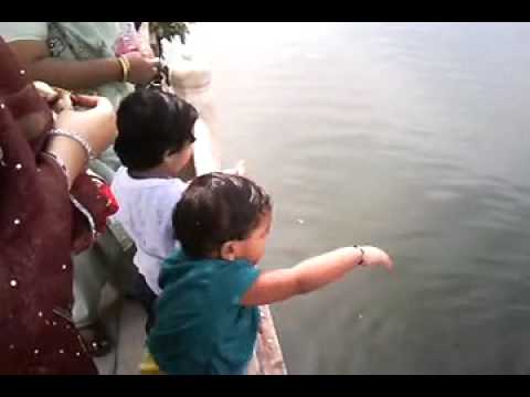 Kids Feeding Fishes Ana Sagar Lake - Ajmer India