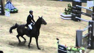 Van Gogh wins $450,000 Grand Prix at Longines Masters-Los Angeles