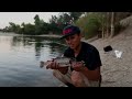 BAIT