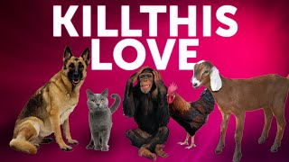 Kill This Love Parody - Blackpink versi hewan