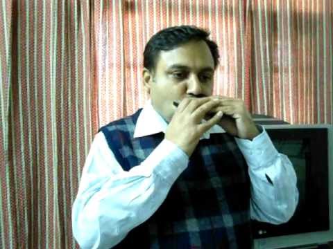 Sach Mere Yaar Hai (Movie: Sagar) on Harmonica by Madhurish...