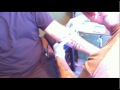Helen 55 guitarist gets new album tattoo