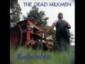 the dead milkmen - sri lanka sex hotel