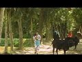 Vadaima ভাদাইমা'র জ্বর তিন মণ পাচ কেজি - New Bangla Funny Video 2017 | Music Heaven