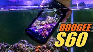 Doogee S60 Цена