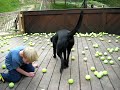 tennis balls