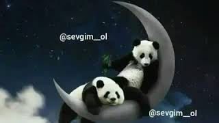Eseb Sakitlesdirici Ella