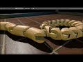 Studio Physics Real-Time Demo + Constraint Strings - Blender + Bullet