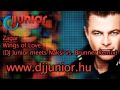 Zagar - Wings of Love (DJ Junior meets Naksi vs. Brunner Remix)