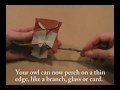 Origami Horned Owl (page 1). YouTube Bird Video Tutorials