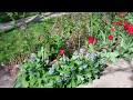 Front Yard Garden Late March