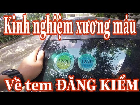 Kinh nghiệm xương máu về tem ĐĂNG KIỂM | Phạt nặng lắm | Ô Tô Vlog 24