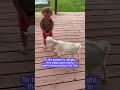 Jumping baby goat and cute little girl become fast friends | Humankind #shorts #goodnews