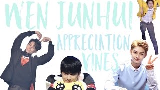 Wen Junhui Appreciation Vines